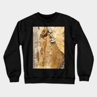 Fungi on Tree Study Crewneck Sweatshirt